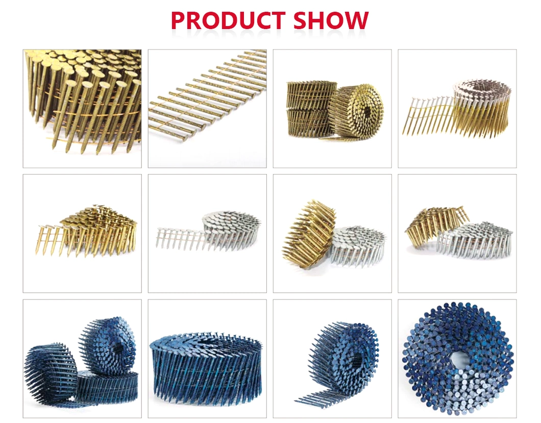 Screw Shank Roofing Coil Nails Manufacturer