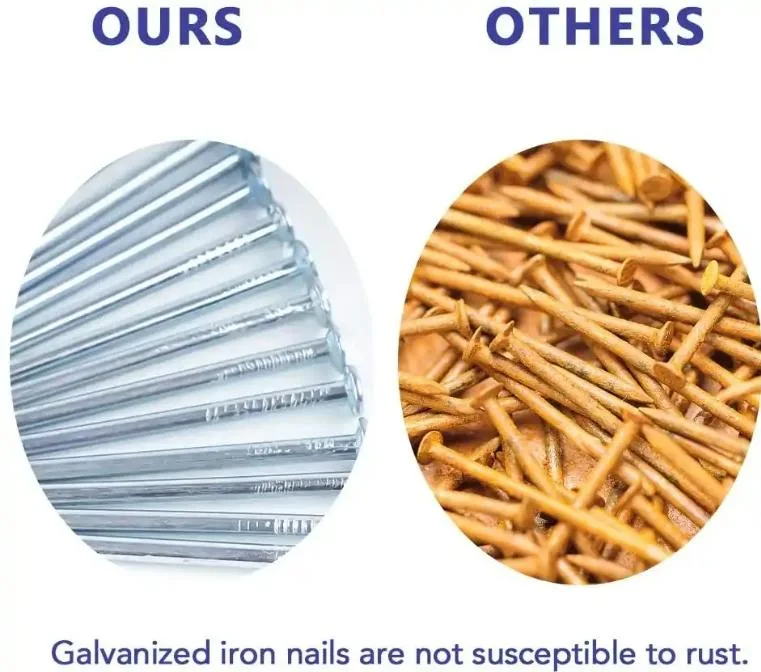 Factory Supply Iron Nails in Small Boxes/Common Nail