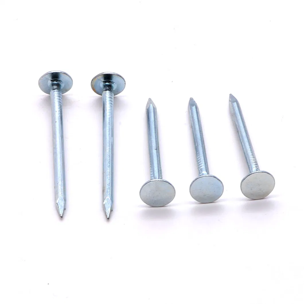 Steel Iron Shiny Galvanized Big Flat Head Common Nails