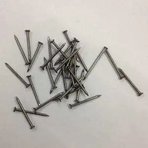 Good Quality 1/2&quot; 3/4&quot; Head /Headless Common Nails