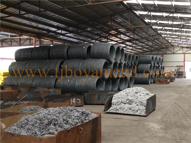 Wholesale Hot Dipped Galvanized Common Nail with High Quality