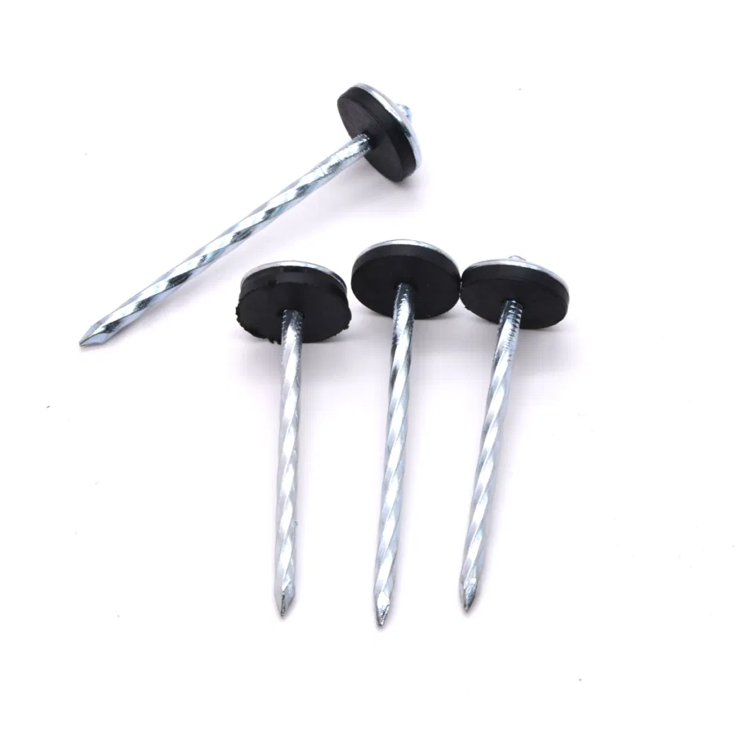 China Supplier Umbrella Head Roofing Nails/Roofing Nails