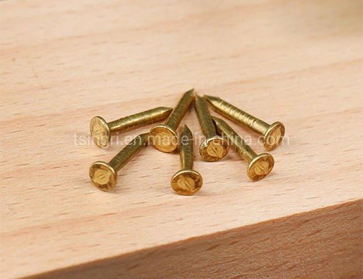 TGR/Tsingri China Factory Supply Brass Copper Flat Head Common Nails