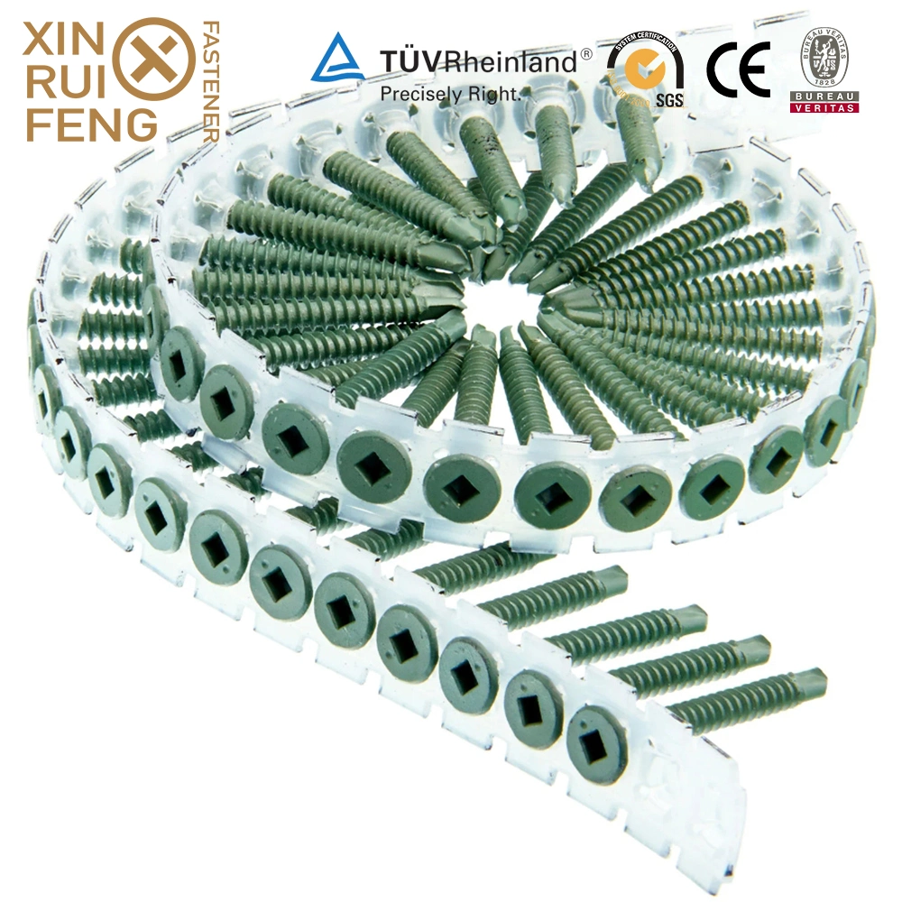 Xinruifeng Fasteners Zinc Ruspert pH. Torx Square Pozi Drive Bugle Csk Head Band Collated Hi Lo Thread Self Tapping Drilling Wood Chipboard Deck Drywall Screws