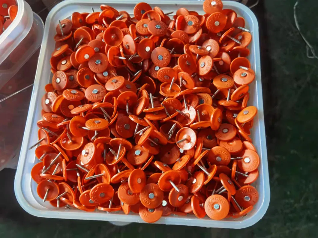 All-Season Performance Ring/Spiral Shank Plastic Cap Nails for Fastening Wall