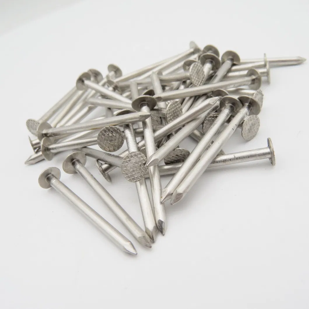 304 Stainless Checkered Head Clout Roofing Nails