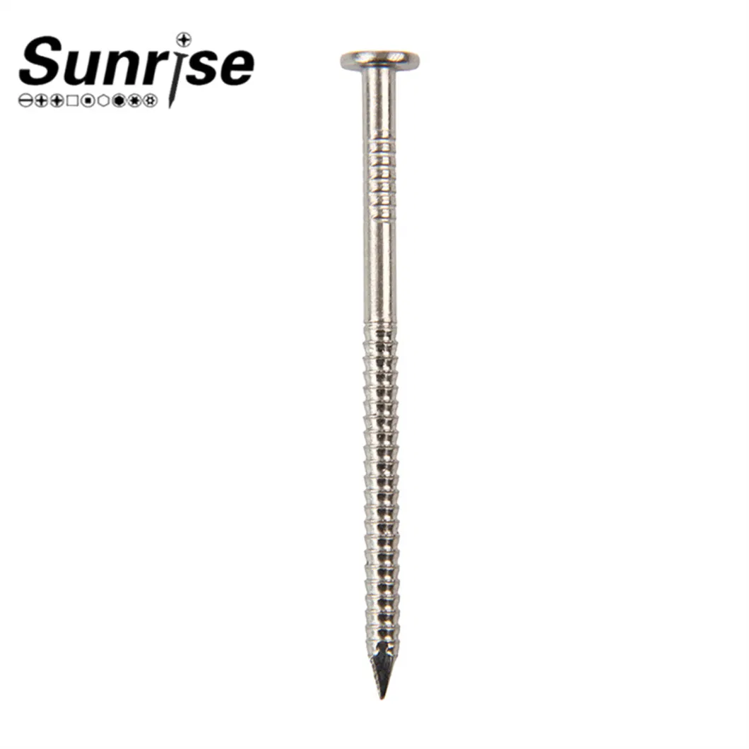 Stainless Steel Shank Nails Screws