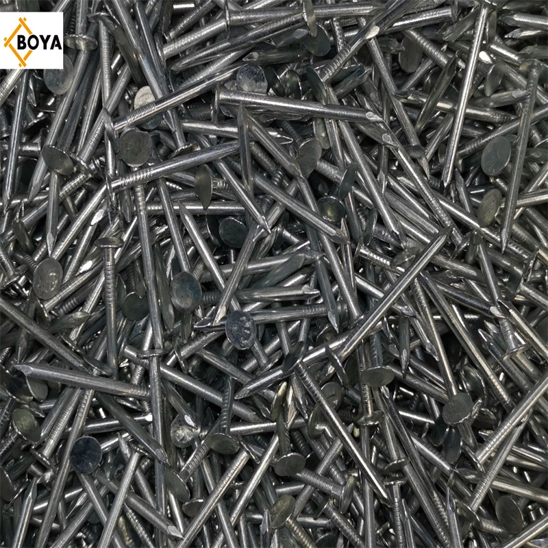 Cut Masonry Nail/Hardened Steel Nail 1-1/2&prime;&prime;