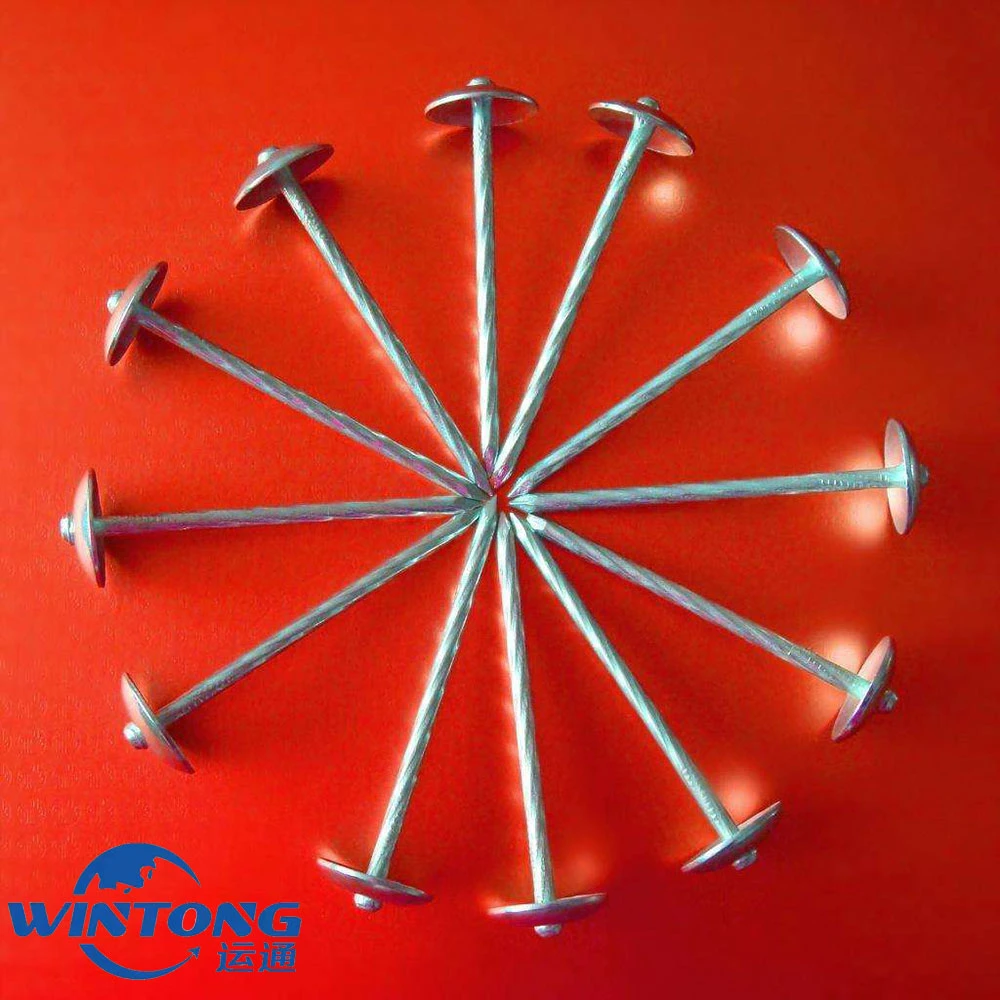 Iron Concrete Stainless Steel Nail China Steel Brad Umbrella Head Roofing Nails Manufacturing