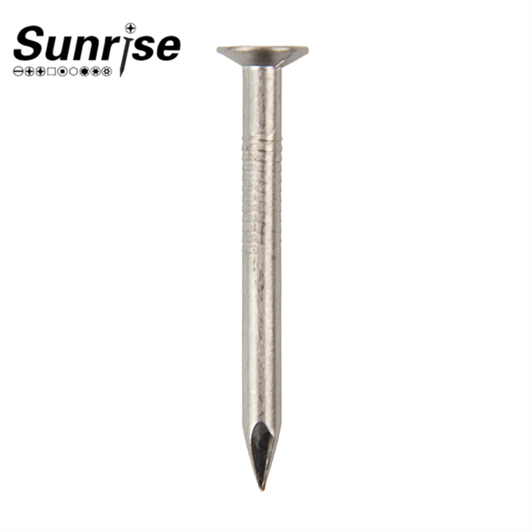 Stainless Steel Loose Nails Screw