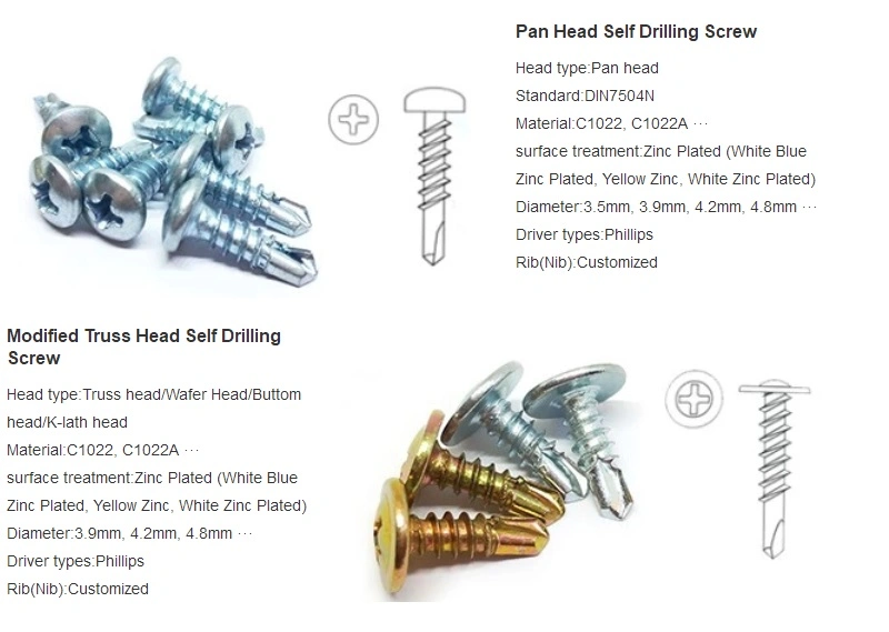 Flat Head Roofing Screw SS304 316 Self Drilling Screw Tek Screw for Wood