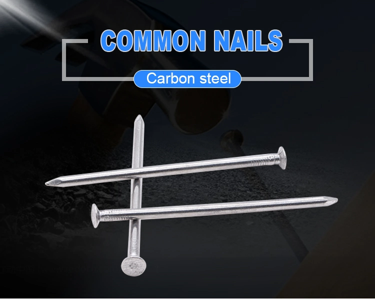 Factory Price Prego Clavos Common Steel Nails Iron Wire Nail for Construction