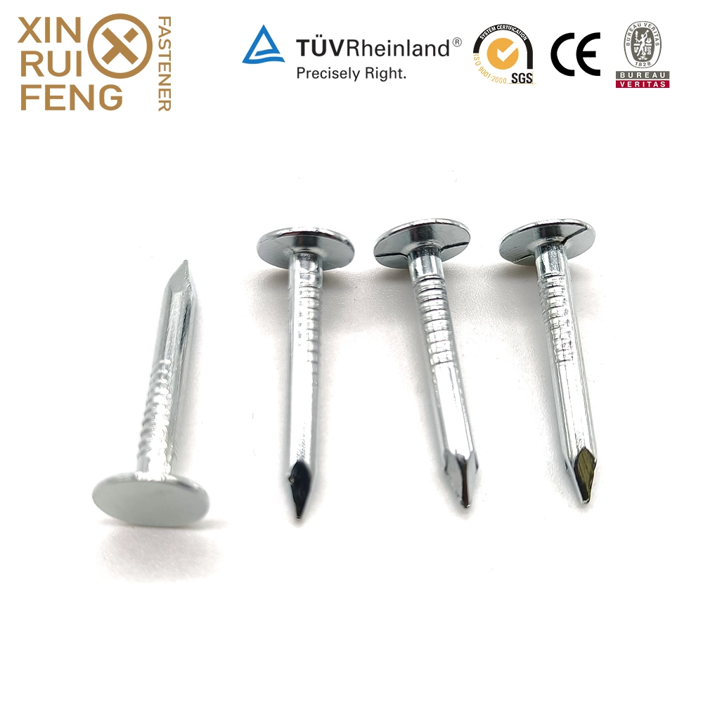 Xinruifeng Fasteners American Smooth Shank 5bl Pack 1 2/1 in. Electrogalvanized Eg. HDG. Mg. Steel Roofing Nails