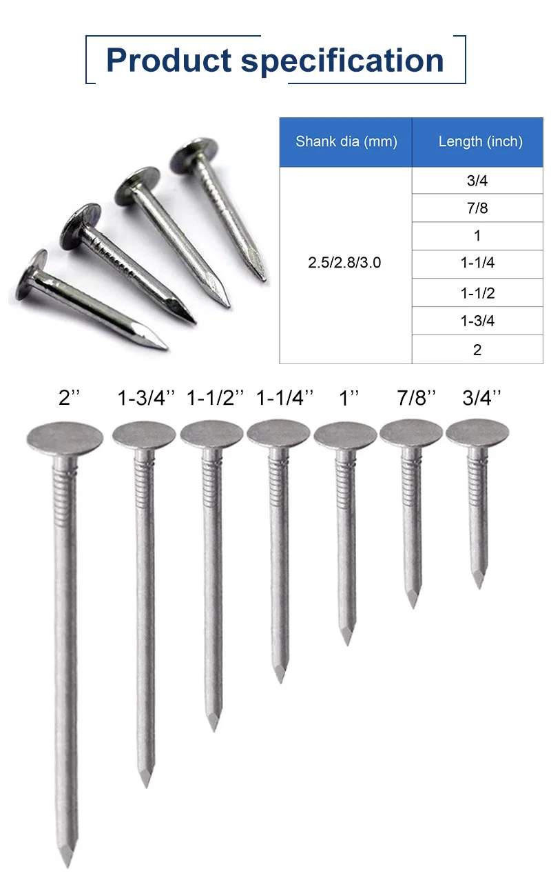 Steel Iron Shiny Galvanized Big Flat Head Common Nails