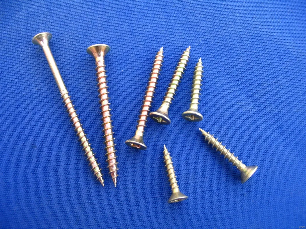 Various Size Screw Chipboard Nail Bugle/Torx/Hexagon/Cross Head