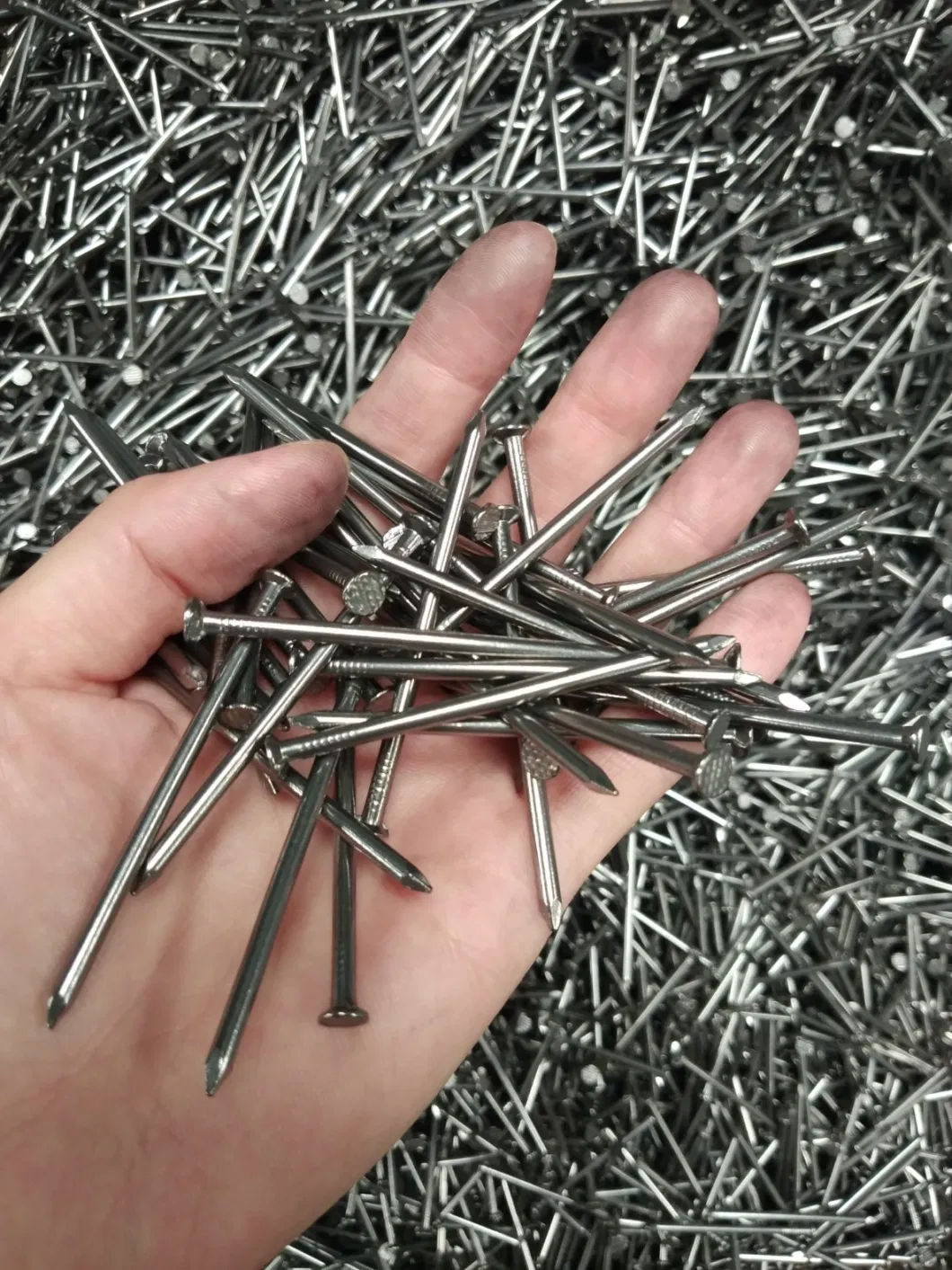 1&quot;-6&quot; High Quality Common Nail for Construction