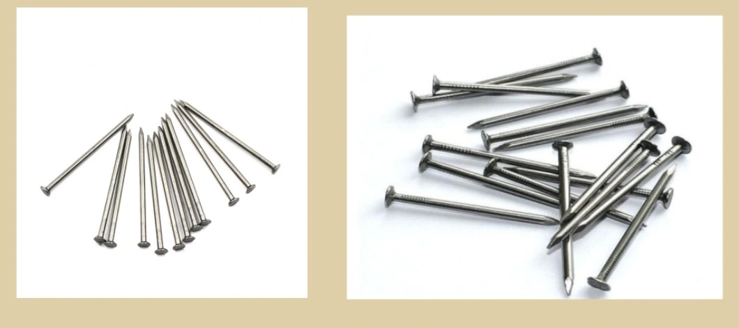 Supply Wire Nails 1-6 Inch Common Nails