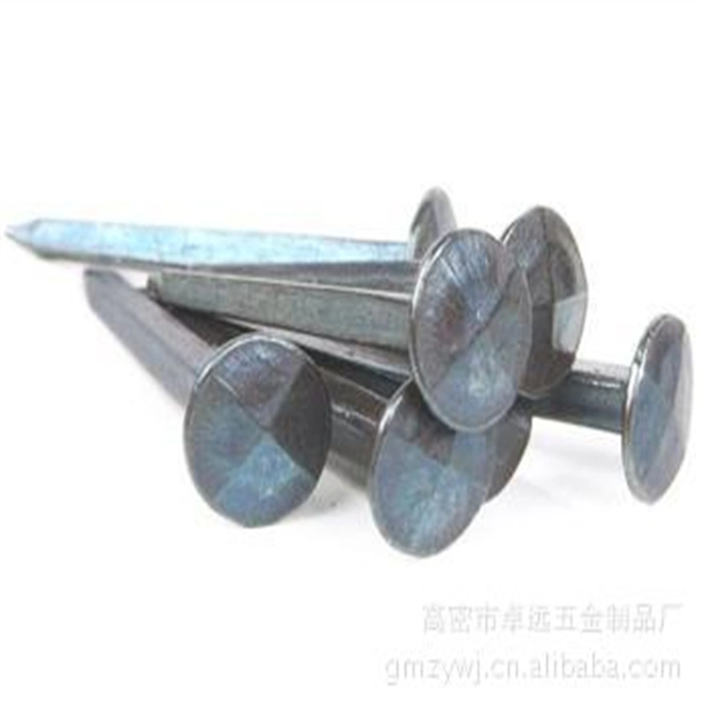 Galvanized Shoes Nail Sofa Nail Square Nail