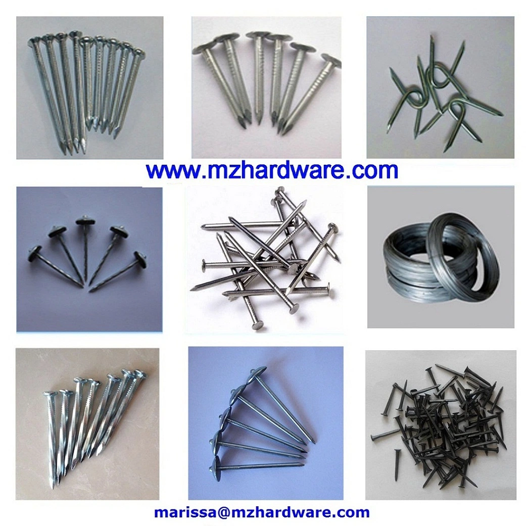 Electro Galvanized Large Flat Head Clout Roofing Nails Copper Nails