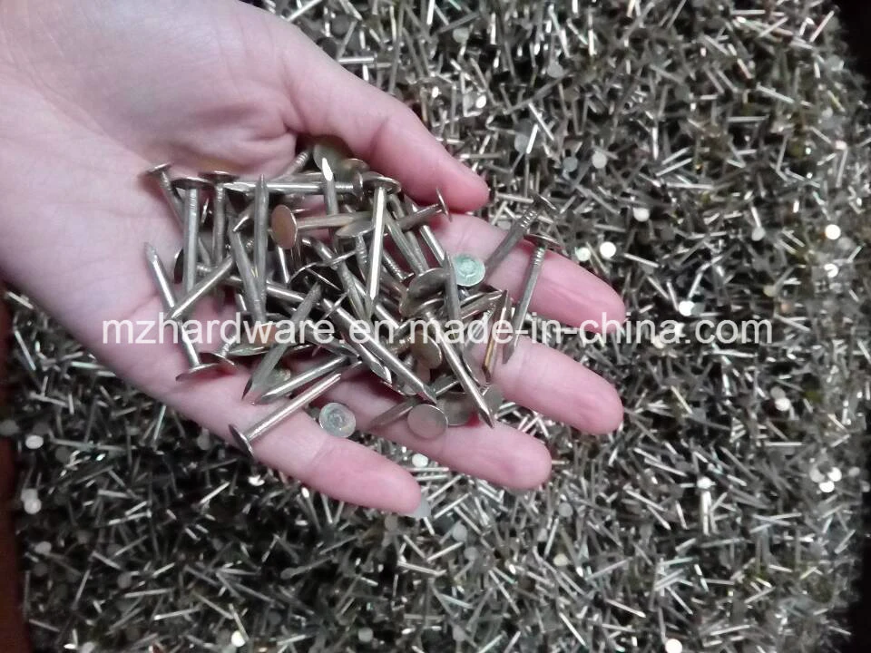 Electro Galvanized Large Flat Head Clout Roofing Nails Copper Nails