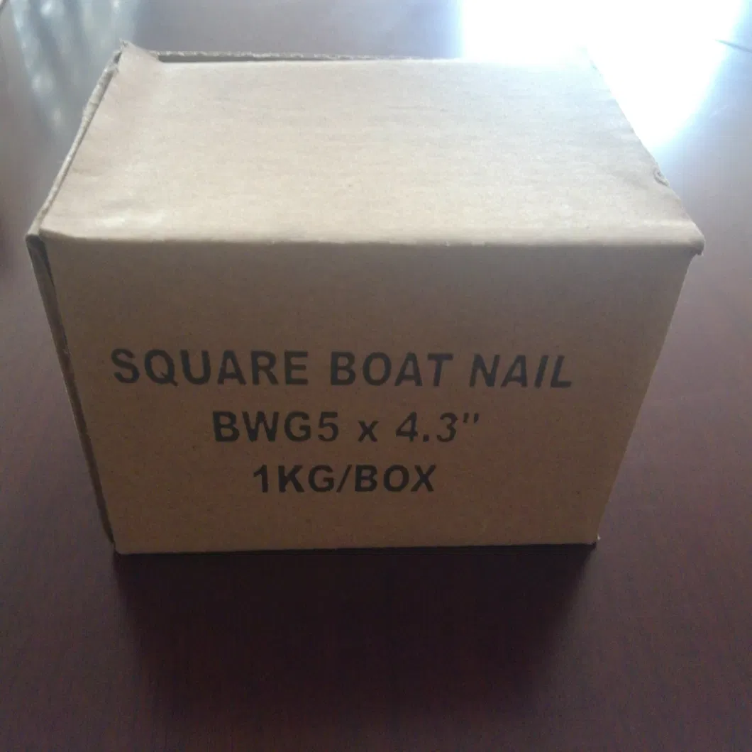 Common /Square Boat /Roofing/Duplex /Plastic Cap /Concrete /Coil /Clavo/Prego Nails