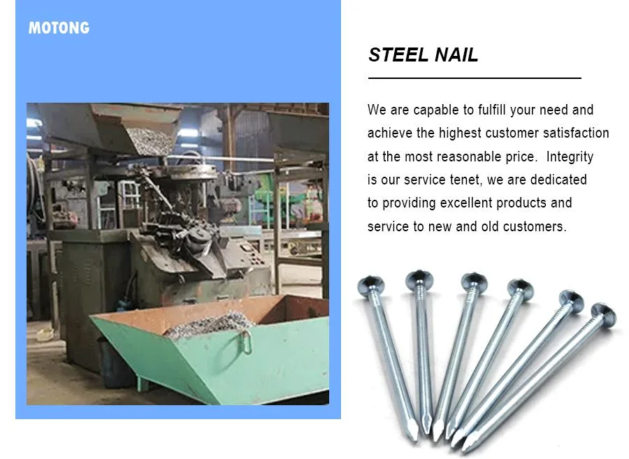 China Wholesale Galvanized Smooth / Twisted Shank 9bwg X 2.5&quot;10bwg X 2&quot; 12bwg 7lbs 8boxes 3.125kg / Box Umbrella Head Roofing Nails