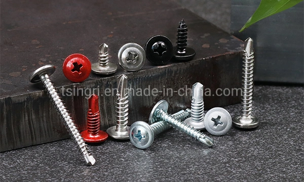 TGR/Tsingri Stainless Carbon Steel Painted Coating Phillips Truss Head Self Tapping Drilling Screws