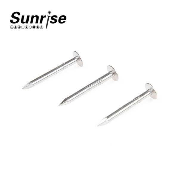 Smooth Shank Clout Nails Screw