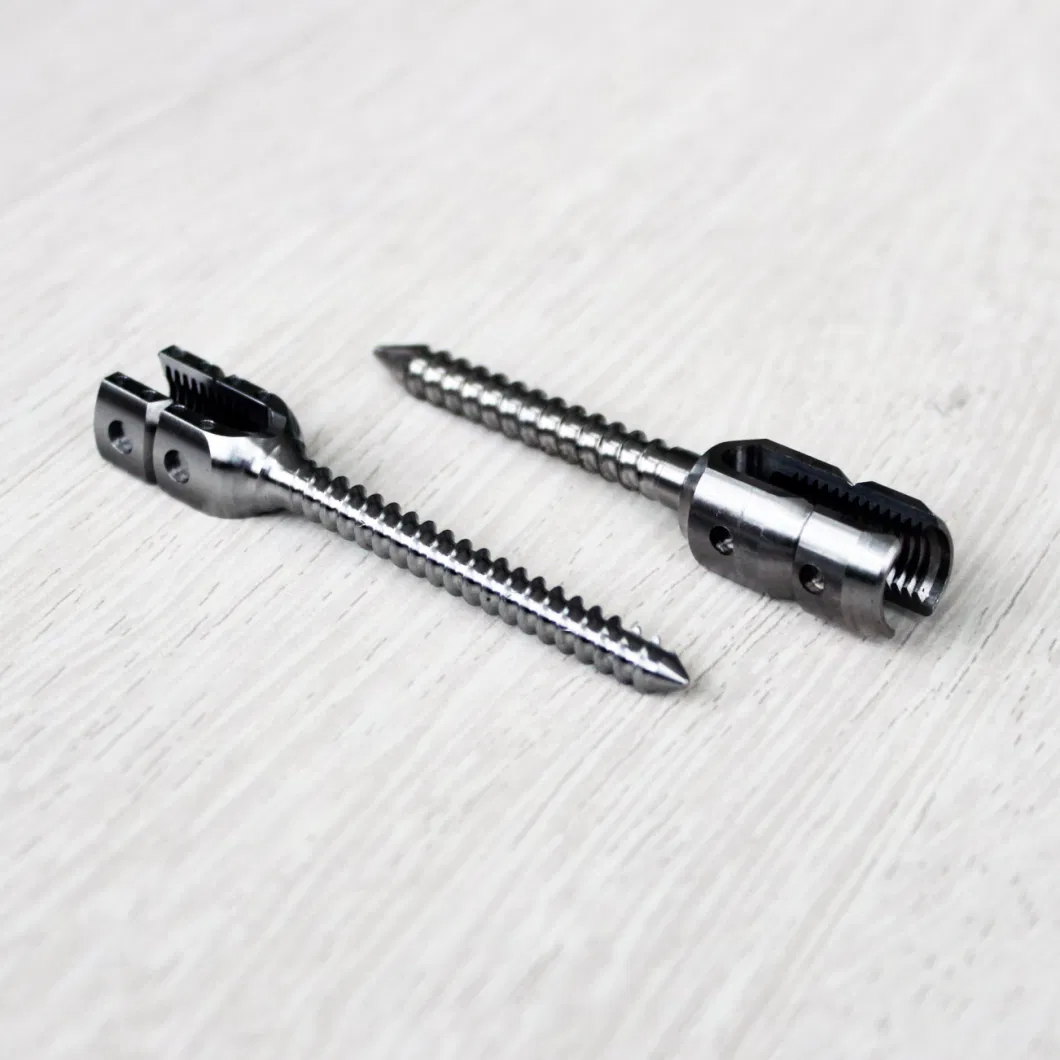 Hollow Nail-Ts16949 Factory Customized Precision CNC Machining Part Lathing Part