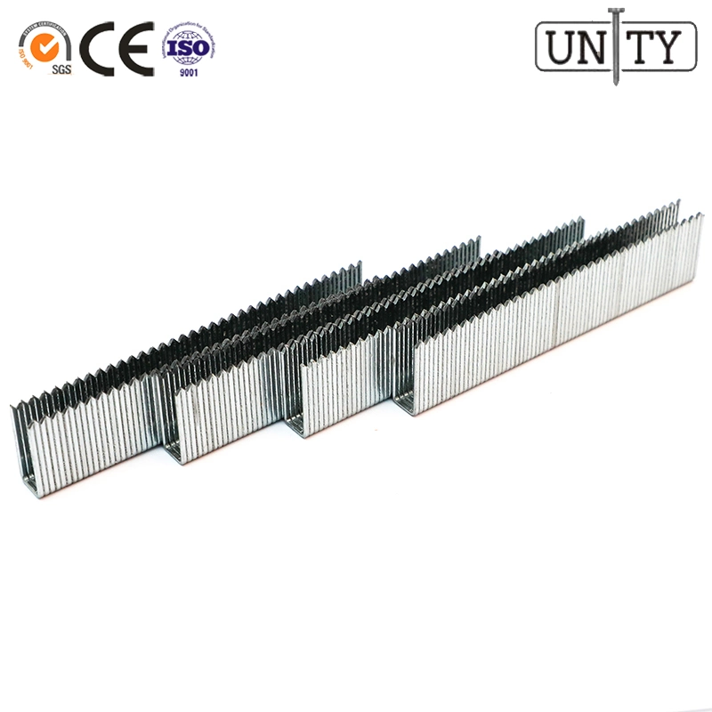 Whosale Pallet Coil Nail with Ring Shank