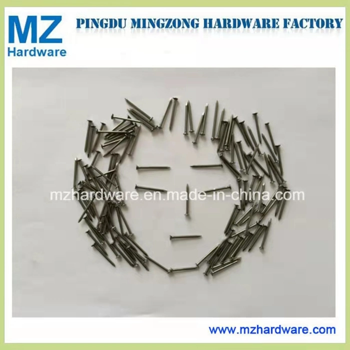 Common Nail/Building Nail/Wire Nail/Construction Nail/Iron Nail/Steel Nail/Nail