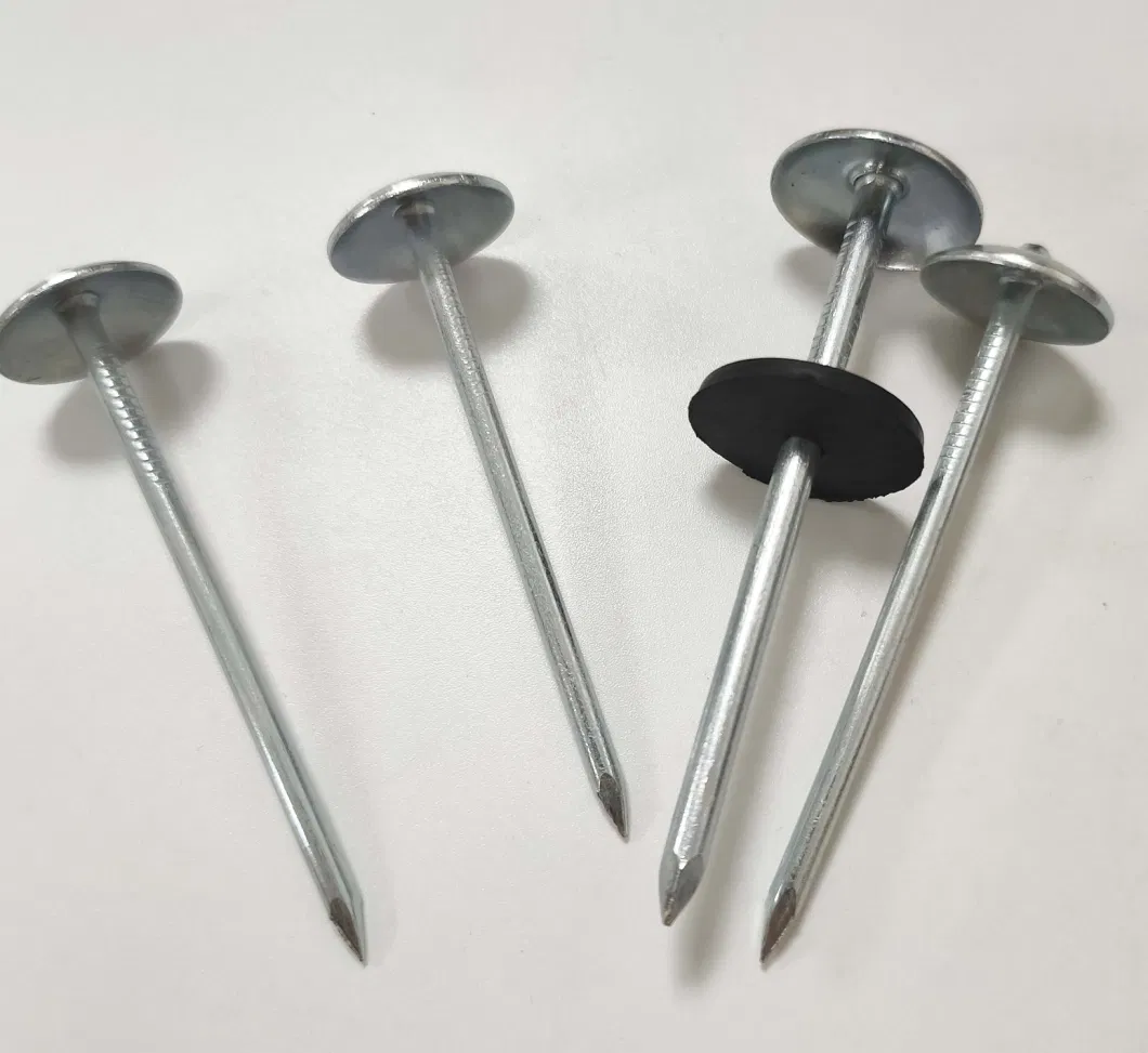 Electro Galvanized Umbrella Head Roofing Nails