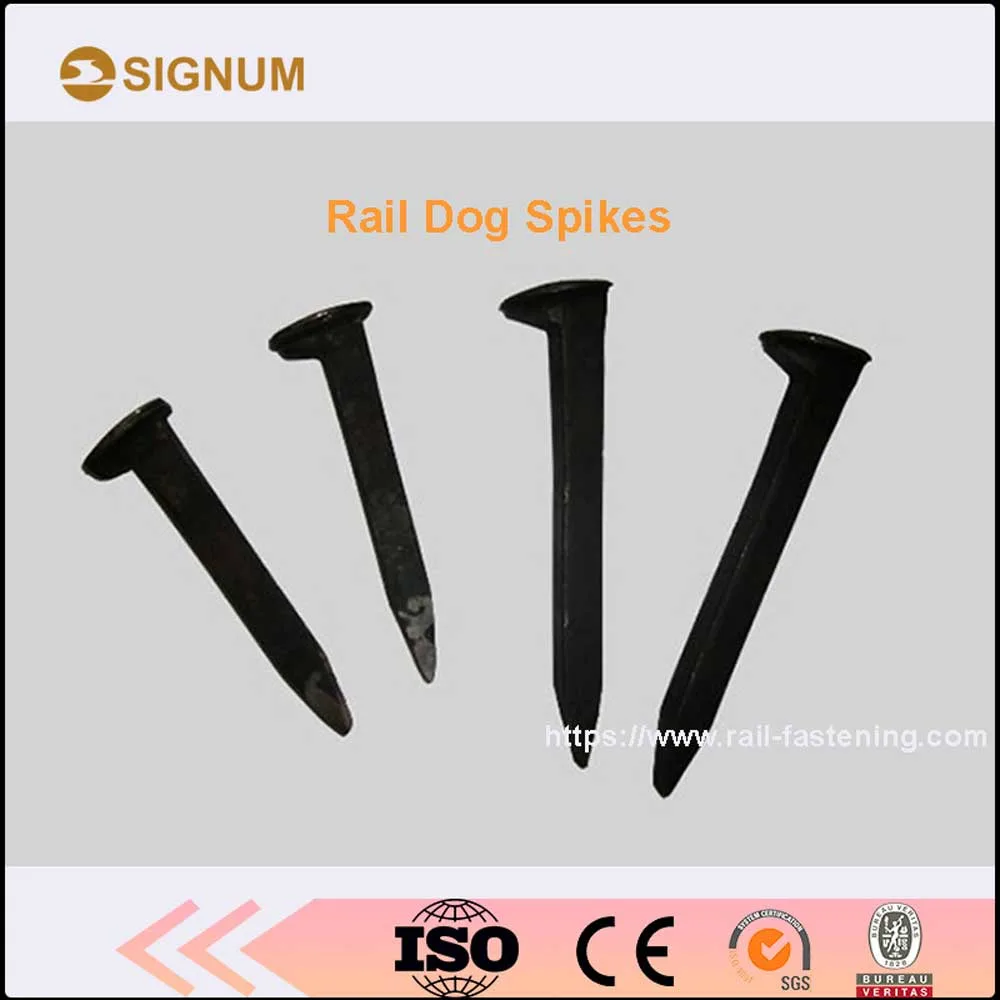 Rail Dog Spike, Railroad Spike, Track Spikes, Rail Nails