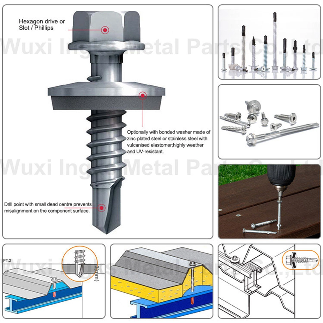 High Quality for Sheet Metal SS304 SS316 Phillips Truss Wafer Head Self Drilling Screws