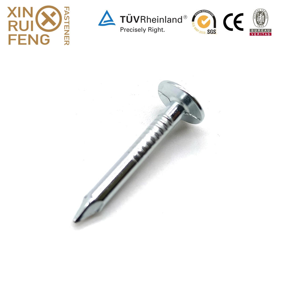 Xinruifeng Fasteners American Smooth Shank 5bl Pack 1 2/1 in. Electrogalvanized Eg. HDG. Mg. Steel Roofing Nails