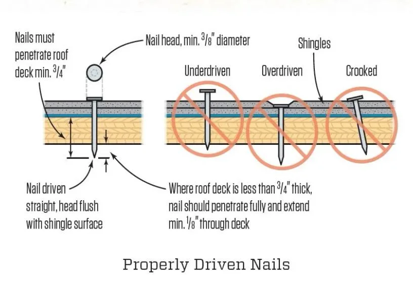 Polished and Galvanized Common Wire Nails for Wood Building Construction