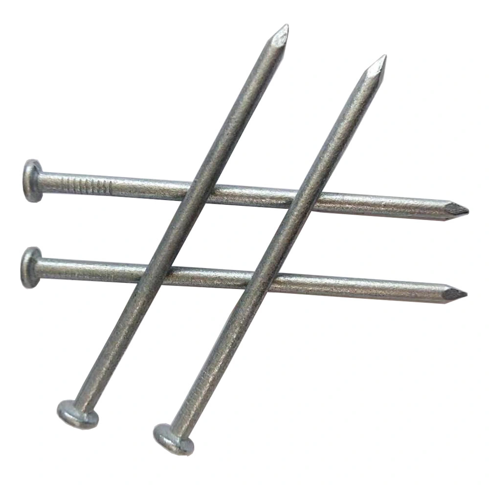 Wholesale Hot Dipped Galvanized Common Nail with High Quality