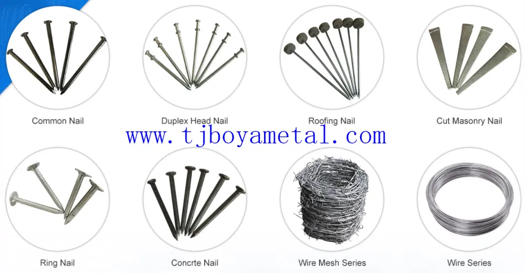 Hot Dipped Galvanized Wood Construction Common Iron Nail