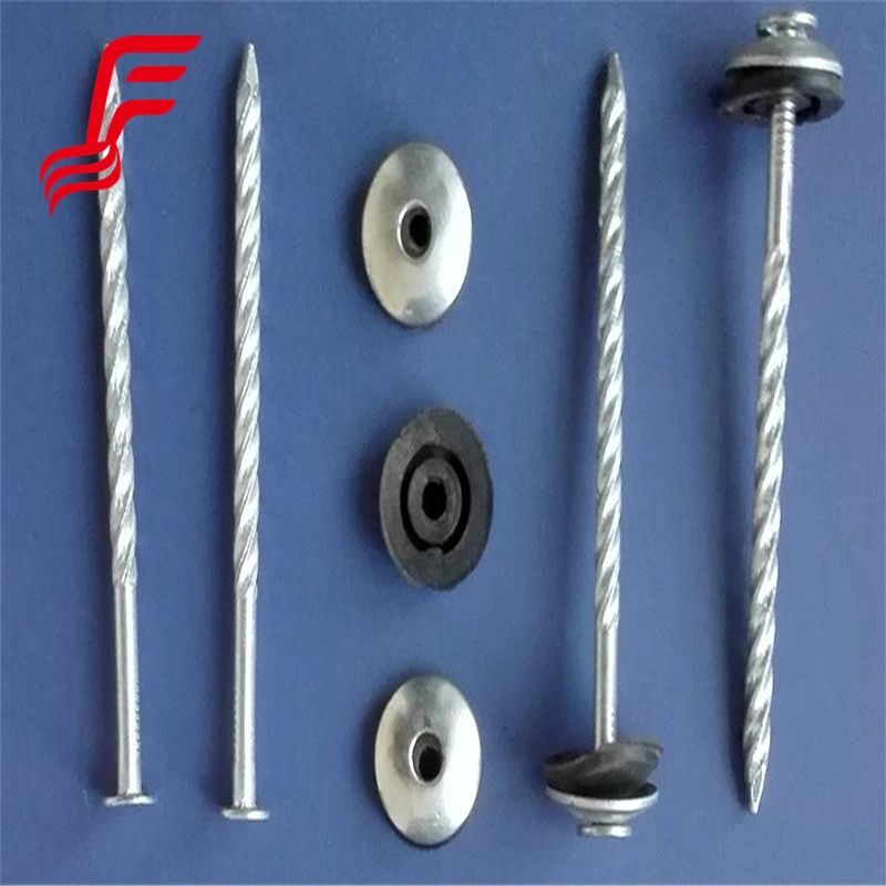 Roofing Screw Nails with Plastic Caps Building Nails