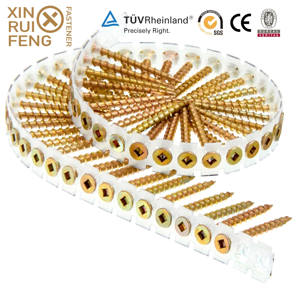 Xinruifeng Fasteners Zinc Ruspert pH. Torx Square Pozi Drive Bugle Csk Head Band Collated Hi Lo Thread Self Tapping Drilling Wood Chipboard Deck Drywall Screws