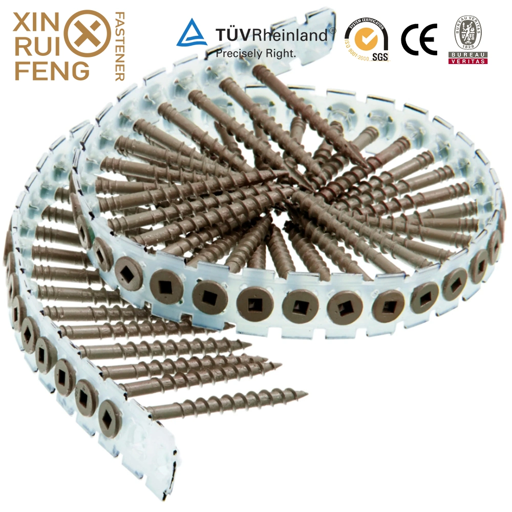 Xinruifeng Fasteners Zinc Ruspert pH. Torx Square Pozi Drive Bugle Csk Head Band Collated Hi Lo Thread Self Tapping Drilling Wood Chipboard Deck Drywall Screws