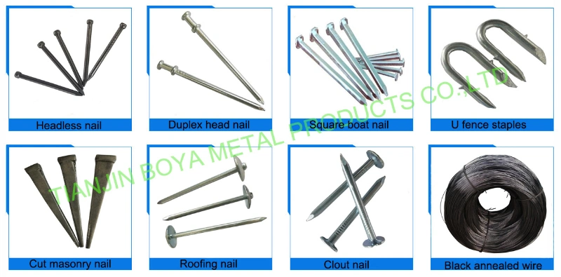 Hotsale Q195 2&prime;&prime; 2.5&quot; Polished Galvanized Double Head Nail Common Iron Nail