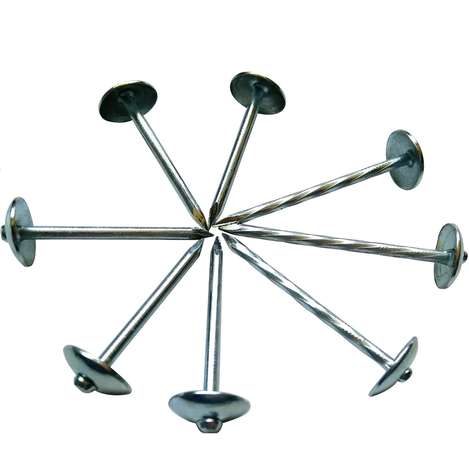 Umbrella Head Electro Galvanised Roofing Nail