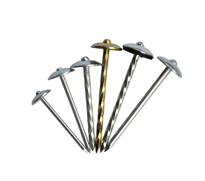 Reasonable Price Q195 Umbrella Head Twist Shank Roofing Nails