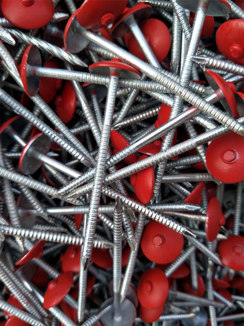 Color Umbrella Head Roofing Nails with Washer Pallet Nails