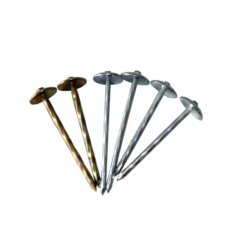 Galvanized Umbrella Head Gi Roofing Nail Factory