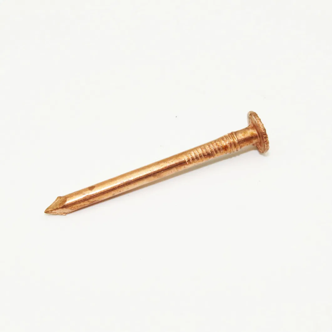 Red Copper Nails with 40mm Shank Length Diam 2.8mm