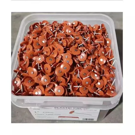 Electric-Galvnanized Big 1&quot; Plastic Cap Roofing Nails with Ring Shank