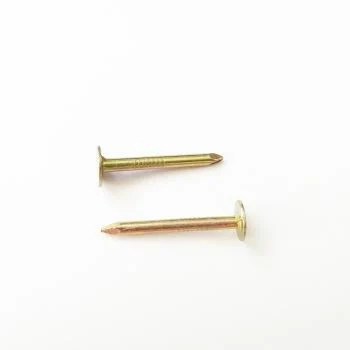 1-6mm Shank Dia Roofing Nail/Clout Nail/Big Head Nail/Copper Nail/Ceiling Nail/