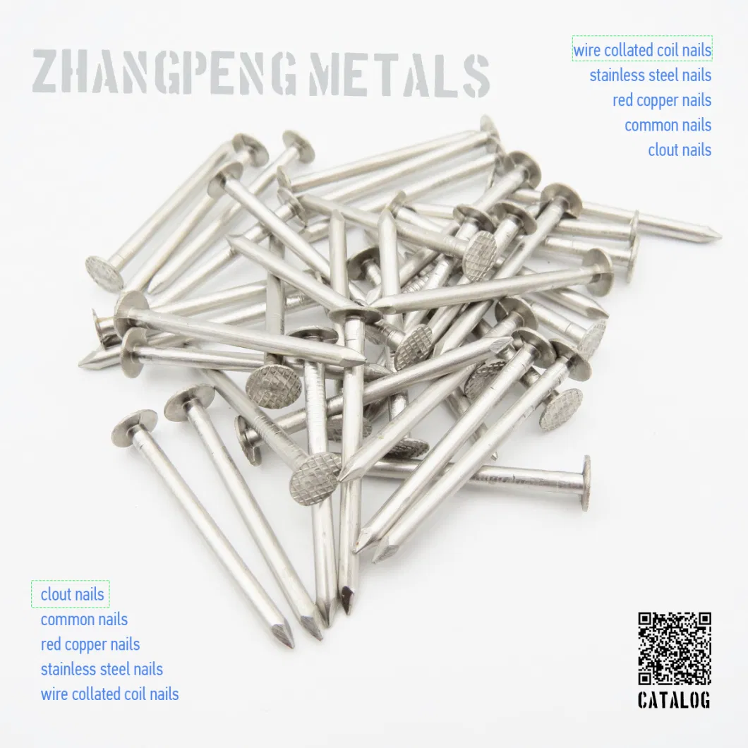 304 Stainless Checkered Head Clout Roofing Nails